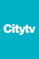 city tour programa tv