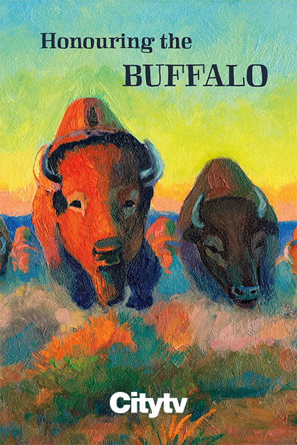 Honouring the Buffalo